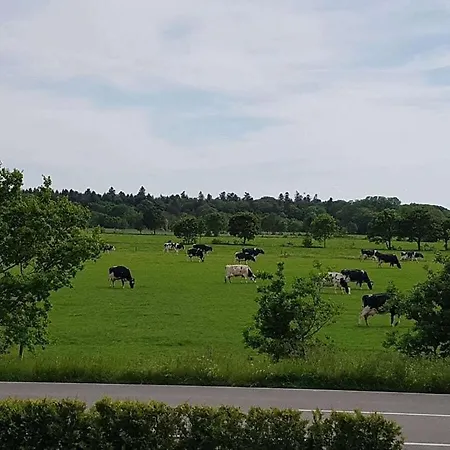 East Frisia