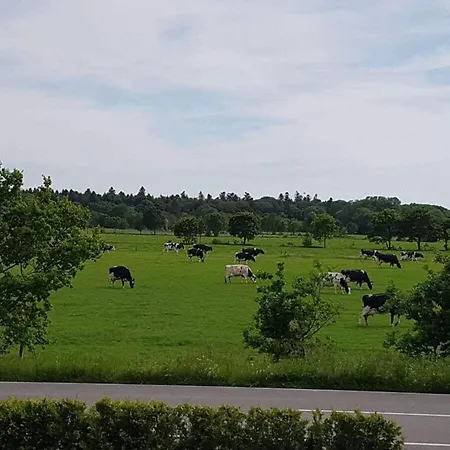 East Frisia Prázdninový dům