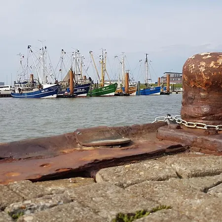 Prázdninový dům East Frisia