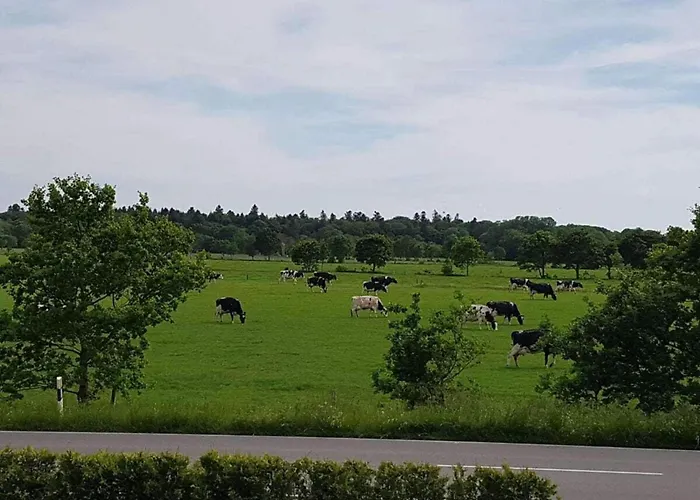 East Frisia Feriehus