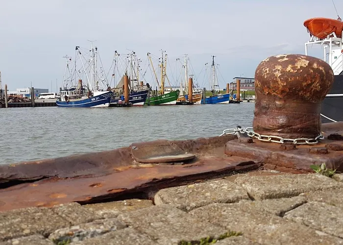 Feriehus East Frisia